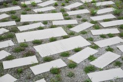 Erinnerungsplatz Silbertal (Foto: Sarah Schlatter)