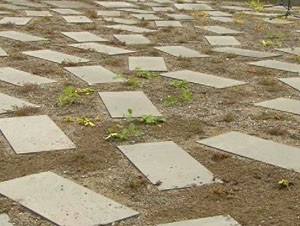 Silbertal Gedenkplatz - gesamt Silbertal Gedenkplatz - gesamt